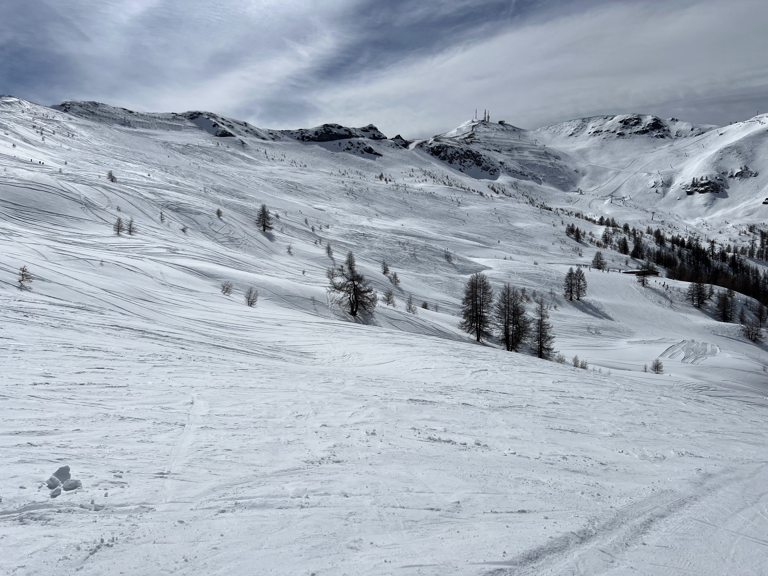 Wide view of vast, snow-covered ski slopes dotted with pine trees under a partly cloudy sky.