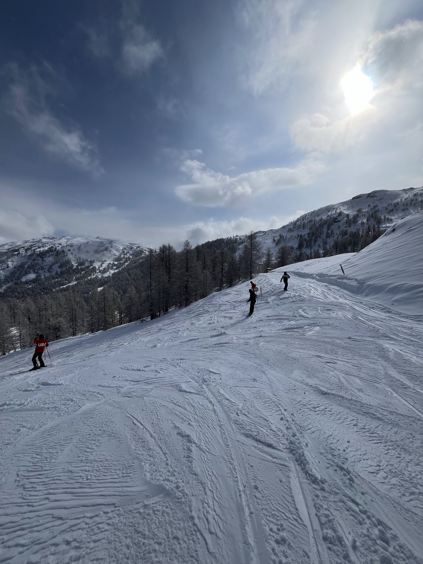 Skiers and snowboarders descending a snowy mountain trail lined with pine trees under a bright, sunny sky.