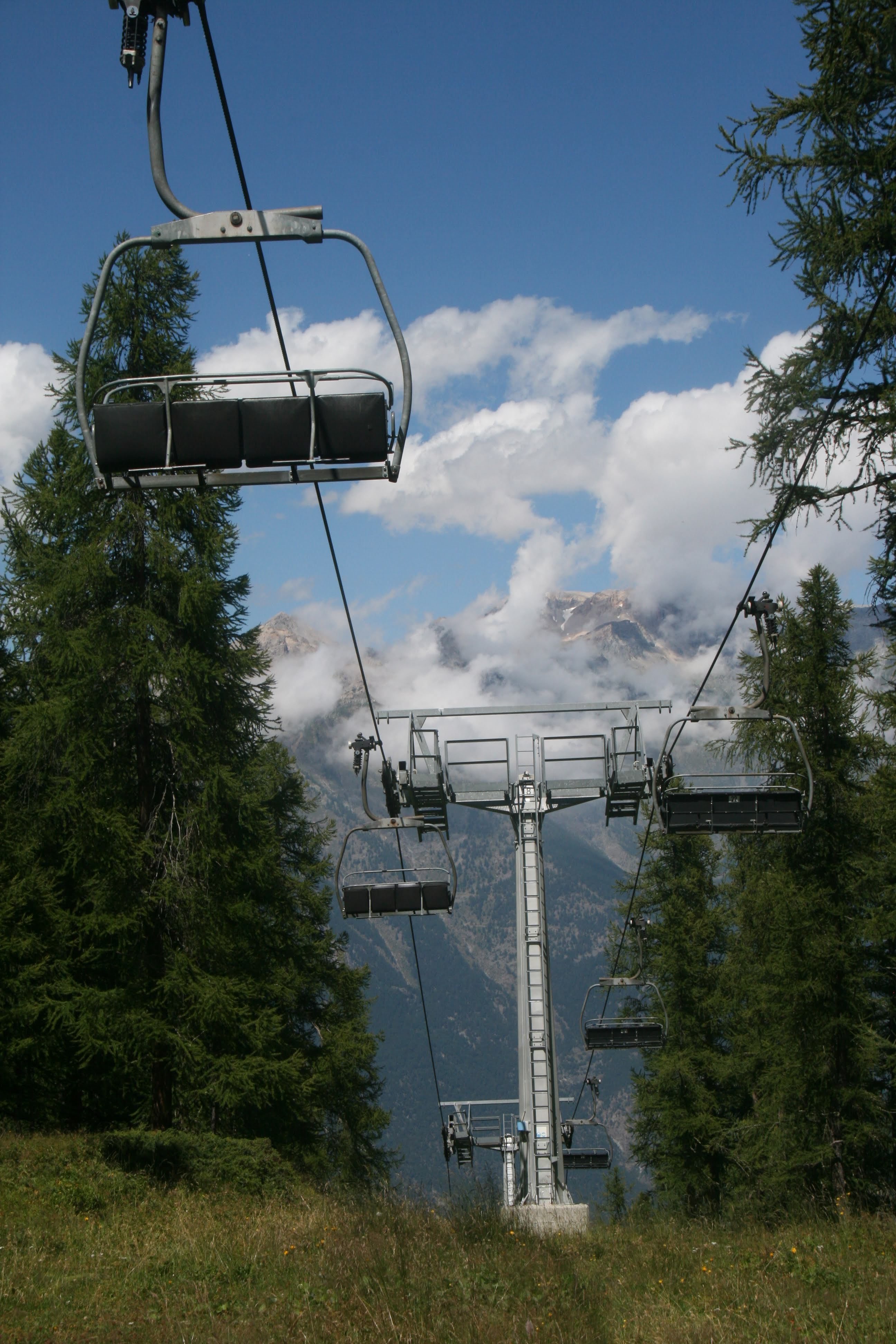 A winding paved path stretching through a vast green mountain meadow under a clear blue sky, bordered by a pine forest.