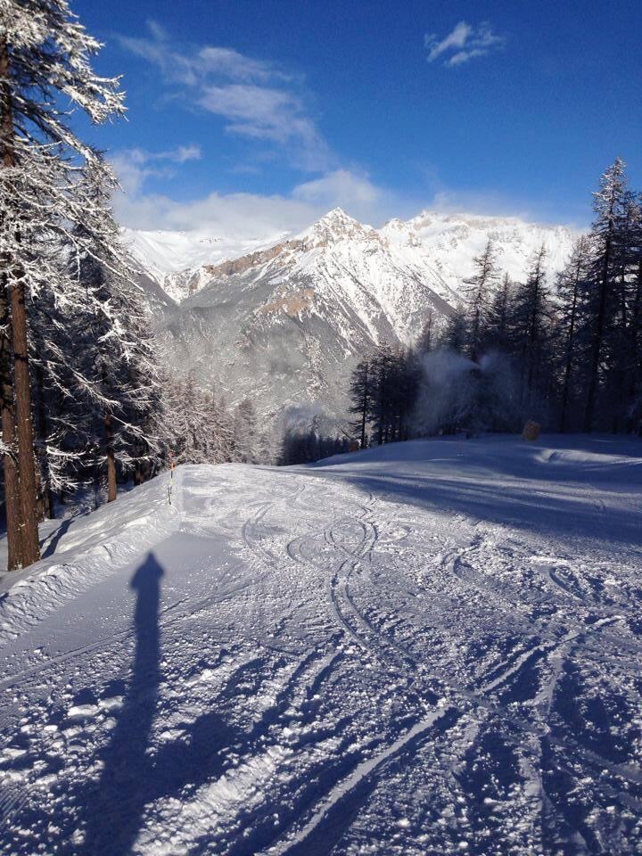 A snowy ski slope path surrounded by pine trees with sharp, snow-covered mountain peaks visible under a blue sky.