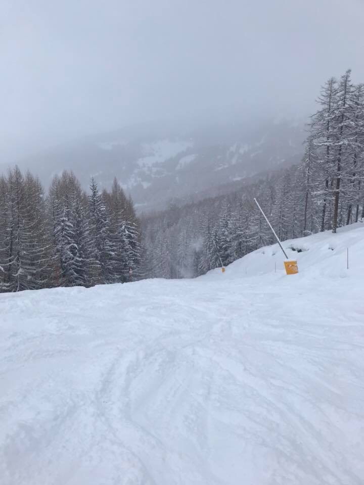 A snowy ski slope fading into a misty, overcast sky with snow-laden pine trees lining the trail.